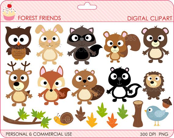 Friends Digital Clipart Digital Friends Clipart Owl Hedgehogs Clip    