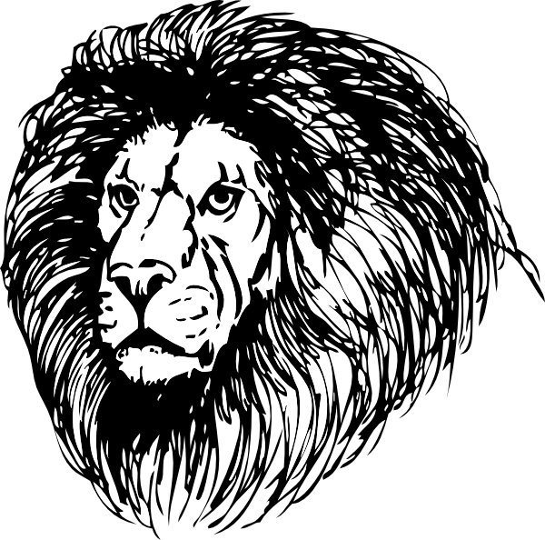 Lion 20 Clip Art At Clker Com   Vector Clip Art Online Royalty Free