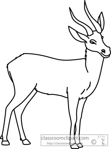 Animals   Lechwes Animal Outline 713   Classroom Clipart