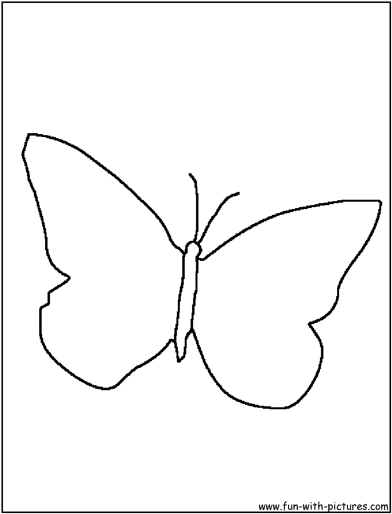 Butterfly Outline Coloring Page1