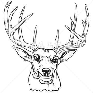 Deer Head Clip Art Black And White 592350 Gif