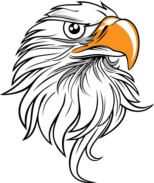 Eagle Head 11 Clip Art At Clker Com   Vector Clip Art Online Royalty