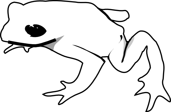 Frog Outline Animal Clip Art At Clker Com   Vector Clip Art Online