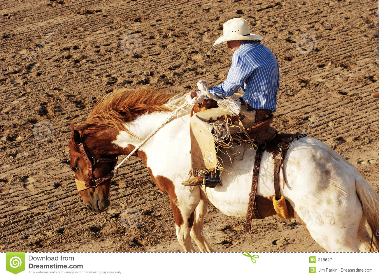 Saddle Bronc Royalty Free Stock Photography   Image  318627