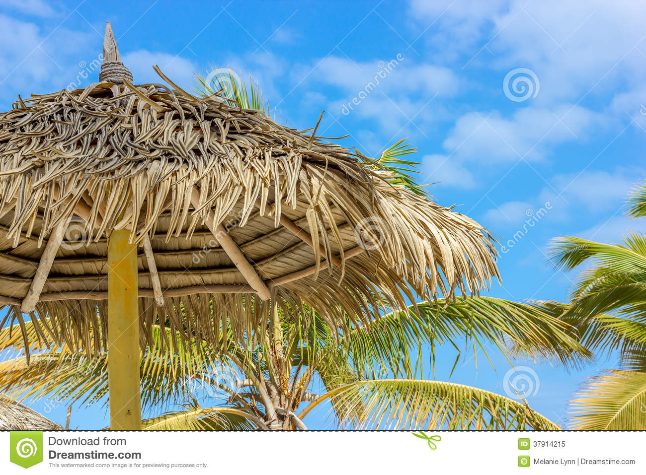 Tiki Hut Umbrella With Dried Palm Leaves For Roof With Beautiful Blue