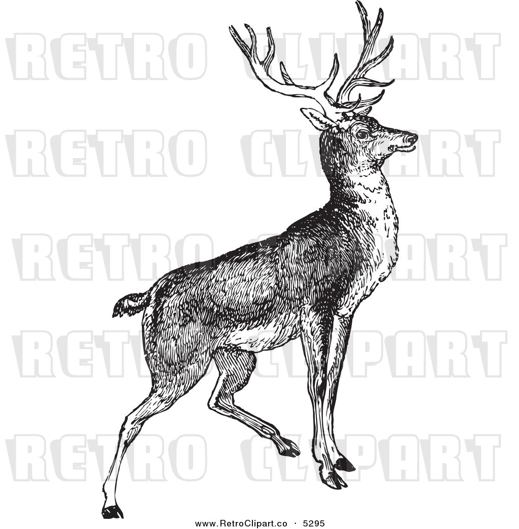 Vector Clipart Of A Black And White Retro Alert Buck Deer By
