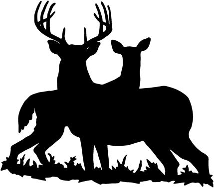 Whitetail Deer Clipart Black And White   Clipart Panda   Free    