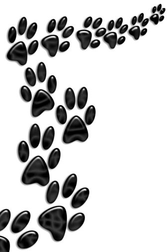 Bulldog Paw Print Trail Paw Print Clip Art Doginstructions
