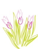 Lavender Tulips Clipart Laying Lion Clipart Light Blue Fireworks