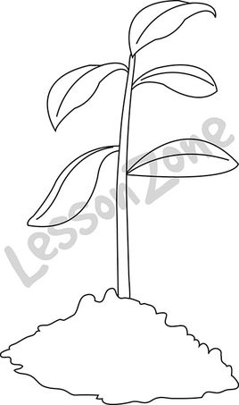 Lesson Zone Nz   Clip Art Collections Good Soil Clipart