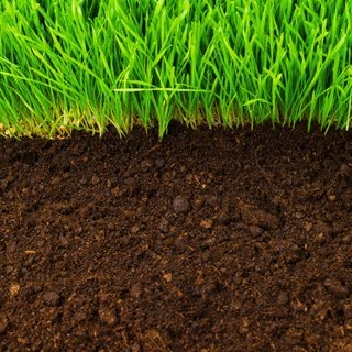 Soil   The Foundation Of A Healthy Garden   Eco Garden Maintenance