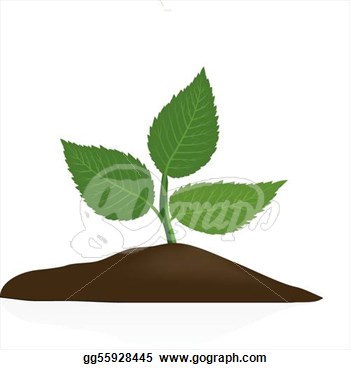 Vector Clipart   Young Plant In Dark Soil Isolated On White Background