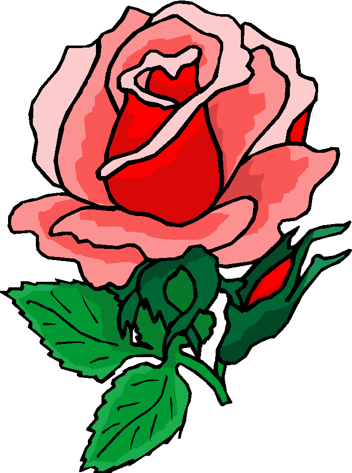 Beautiful Red Rose Free Flower Clipart   Free Microsoft Clipart
