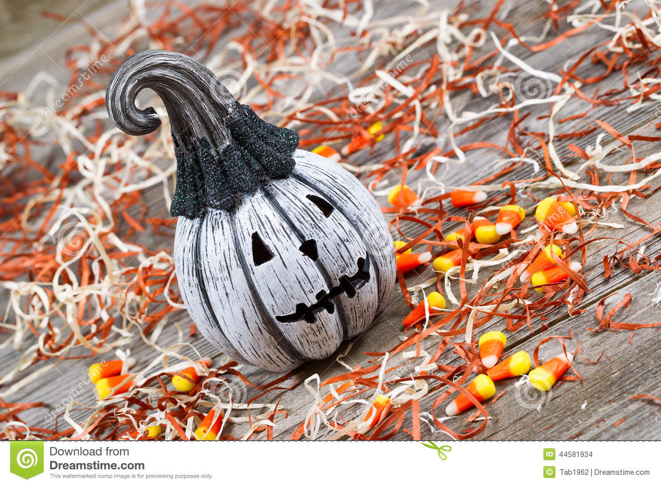     Black And White Pumpkin Surround By Shredded Paper Candy And Rustic