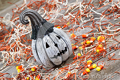     Black And White Pumpkin Surround By Shredded Paper Candy And Rustic