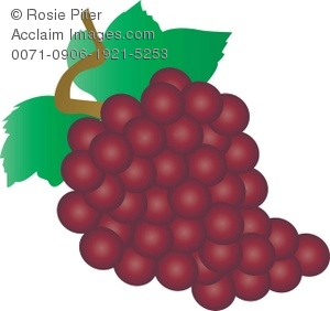 Clip Art Illustration Of A Bunch Of Red Grapes