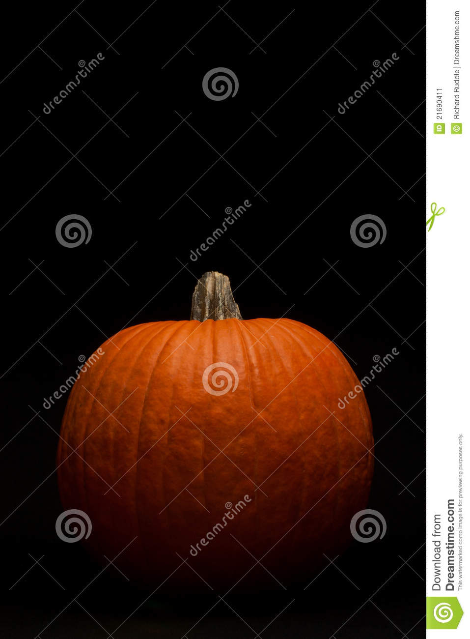 More Similar Stock Images Of   Pumpkin On Black   Vertical  
