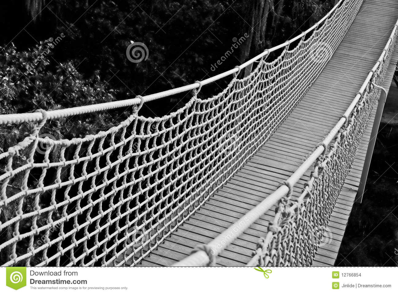 Suspension Bridge In Black And White Stock Images   Image  12766854
