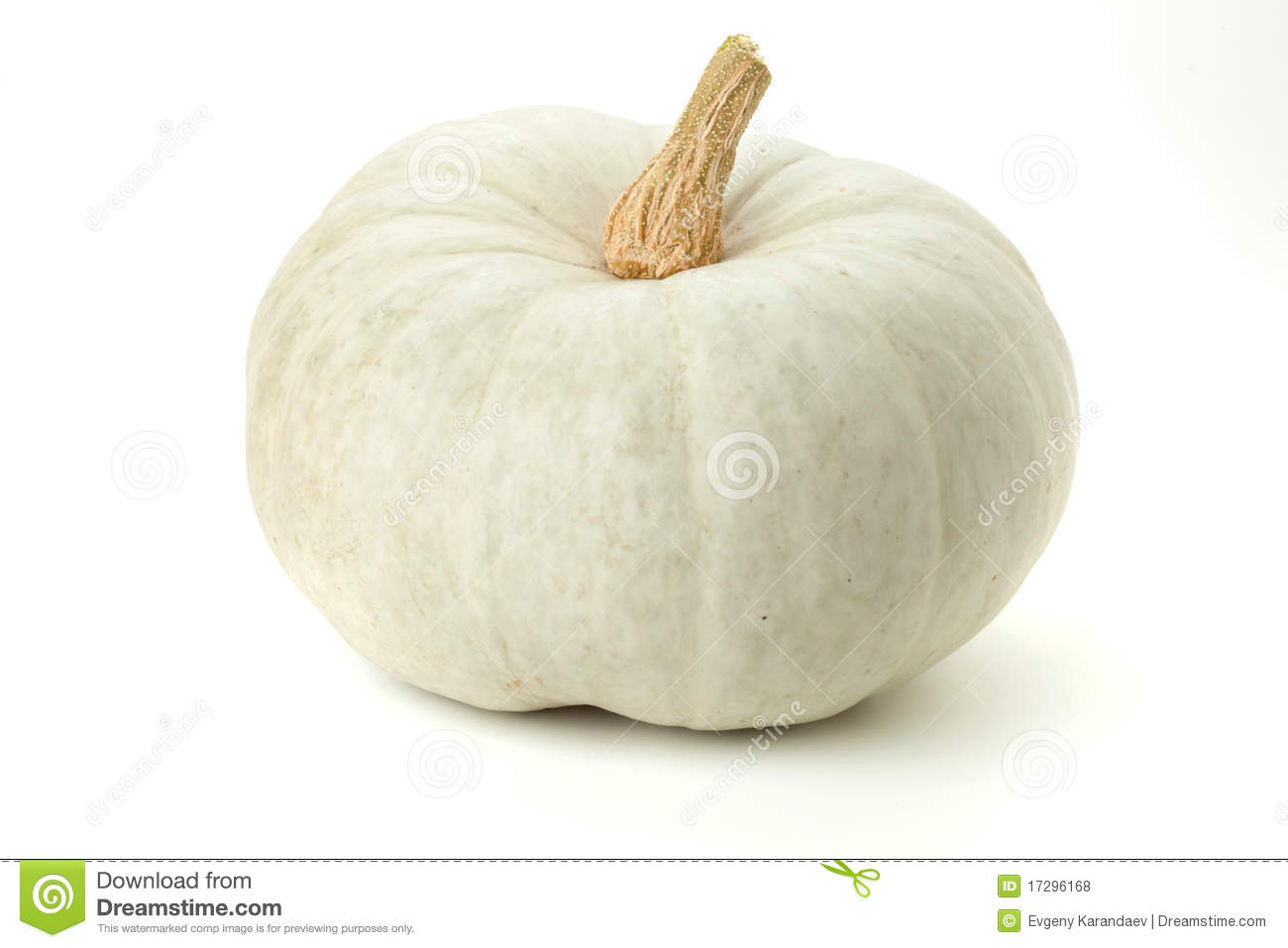White Pumpkin  Isolated On White Background
