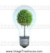 Clipart Of A Transparent 3d Light Bulbn With A Tree Inside By Mopic