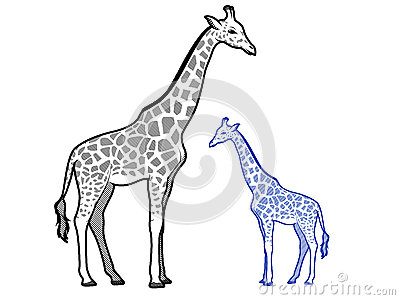 Giraffe Clipart Outline Giraffe Line Art Illustrations