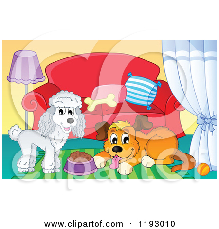 Happy White Poodle And Brown Dog With Food In A Living Room By
