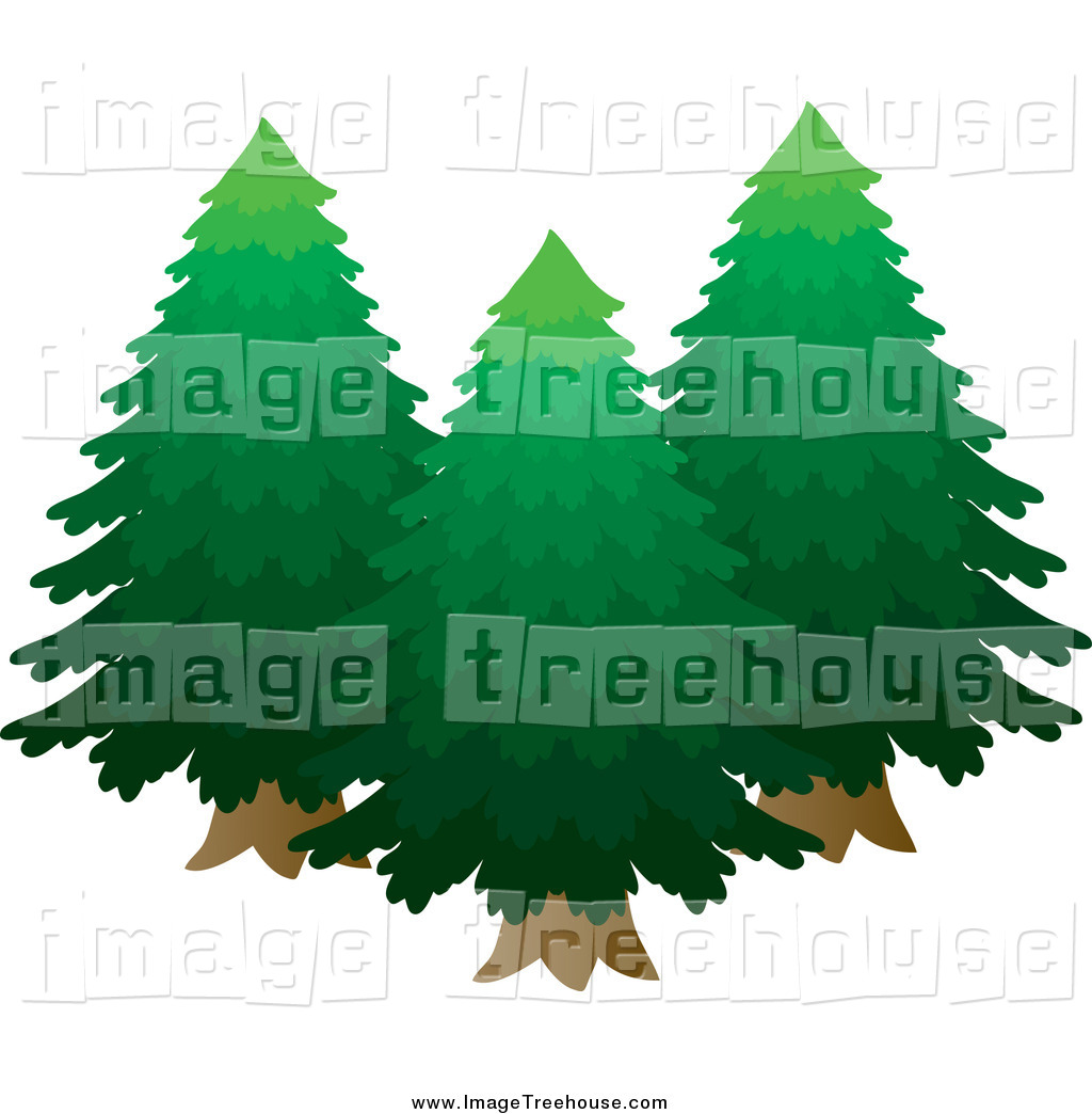 Larger Preview  Clipart Of Lush Green Evergreen Trees By Rosie Piter