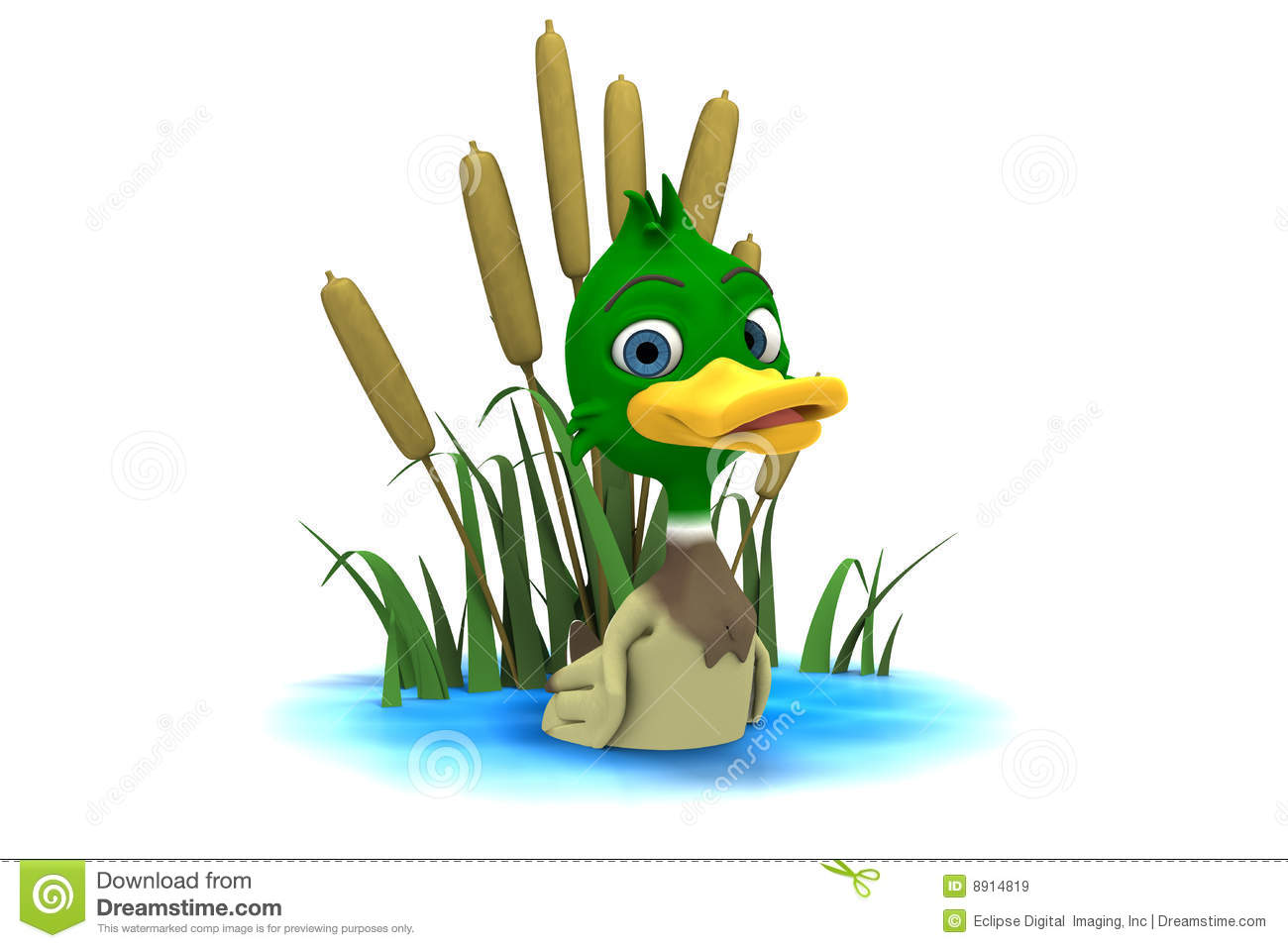 Mallard Duck Sitting In Pond Royalty Free Stock Images   Image