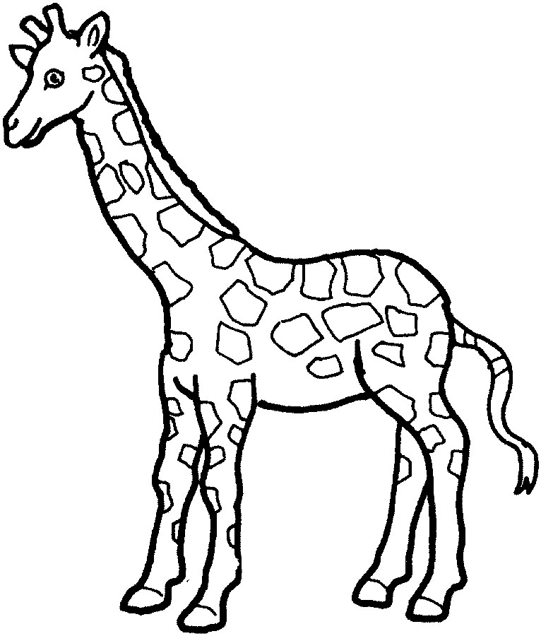 Print Out And Color Pictures Of A Variety Of Animals