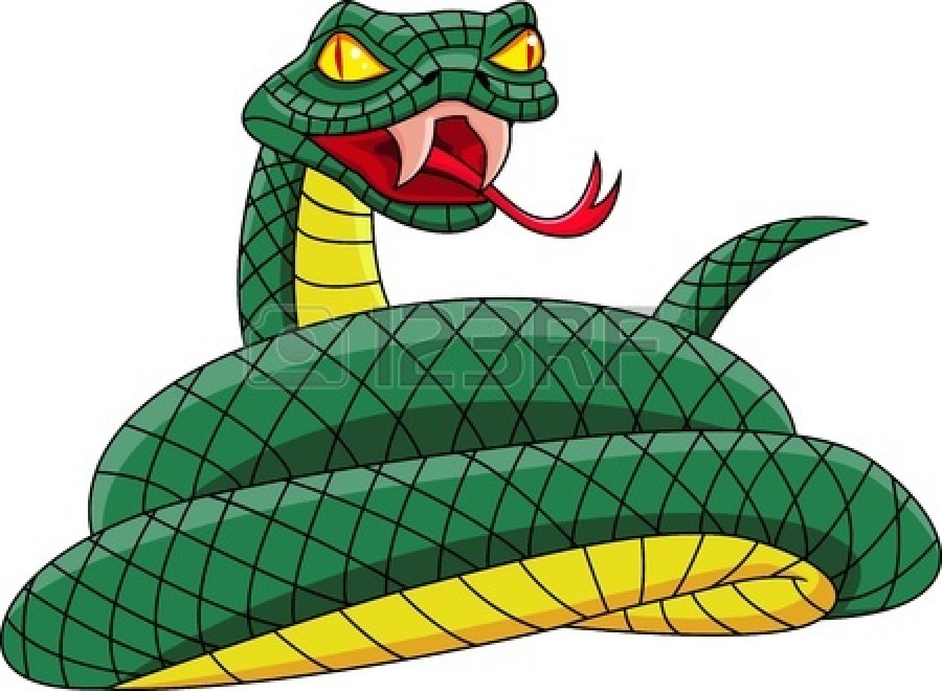Diamondback Rattlesnake Clipart 12152505 Snake Cartoon Jpg
