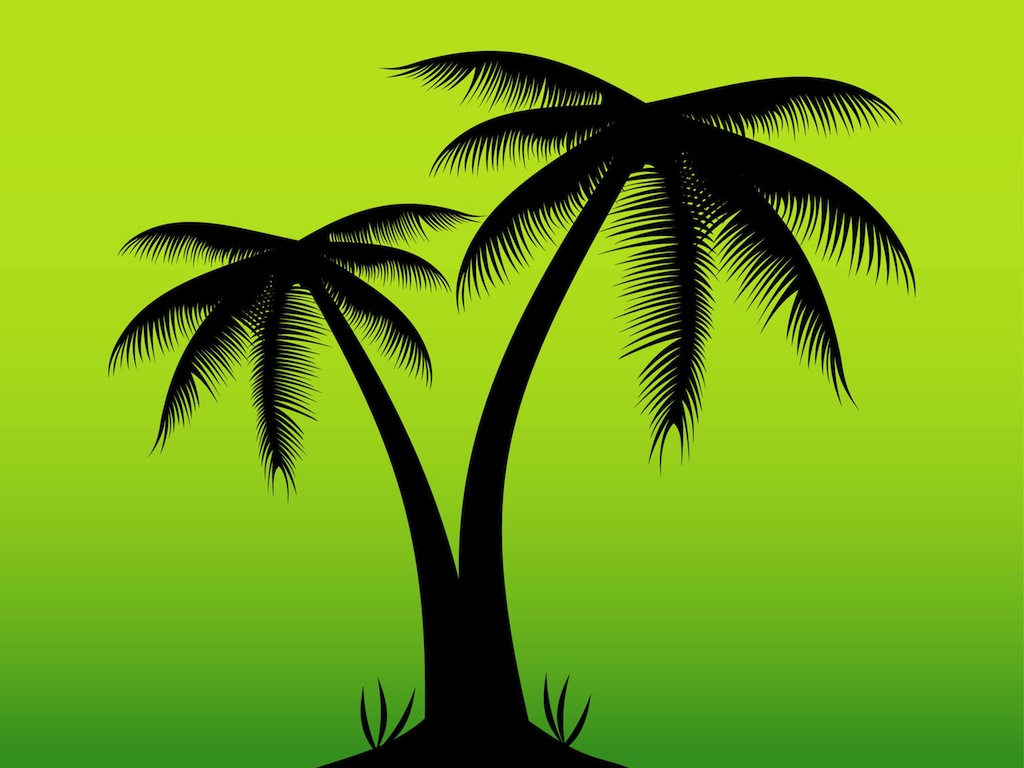 Exotic Palms