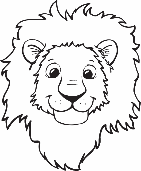 My Top Collection Lion Pictures For Kids 3