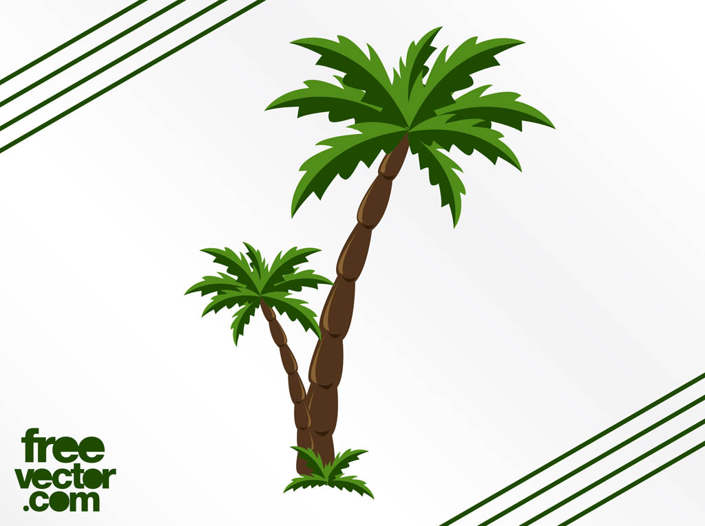 Palm Trees Graphics