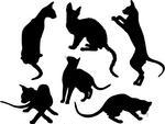 Black Silhouettes Of Cats And Kitten Different Cats And Kittens