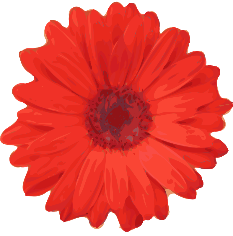 Flower Clipart Pictures Png 172 37 Kb Gerbera 4 Flower Clipart