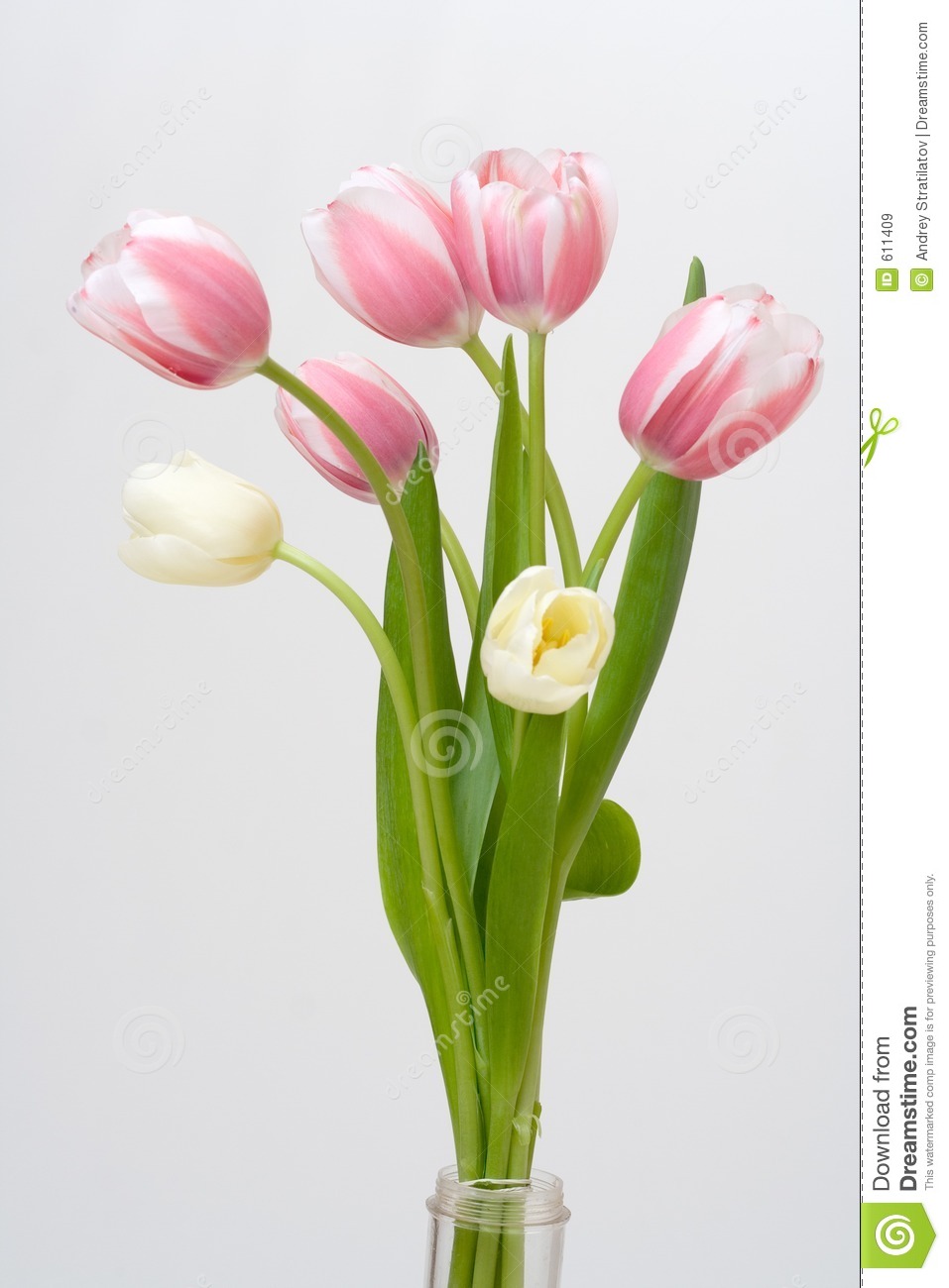 Bouquet Tulip On White Background Royalty Free Stock Images   Image