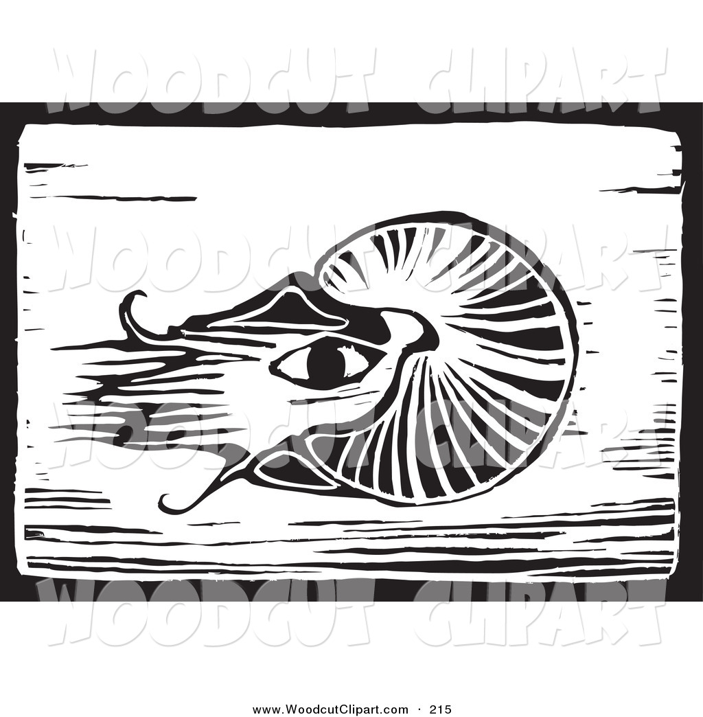 Clip Art Of A Black And White Wood Engraving Squid Plaque On White