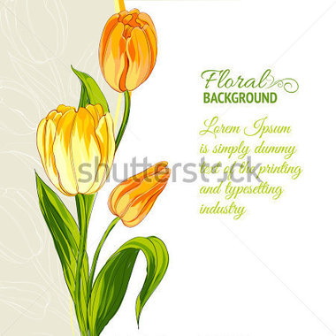 Download Bronbestand Bladeren   Vakantie   Tulip Boeket Ge Soleerd