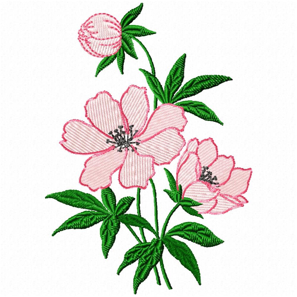 Embroidery Designs Flowers   Clipart Best