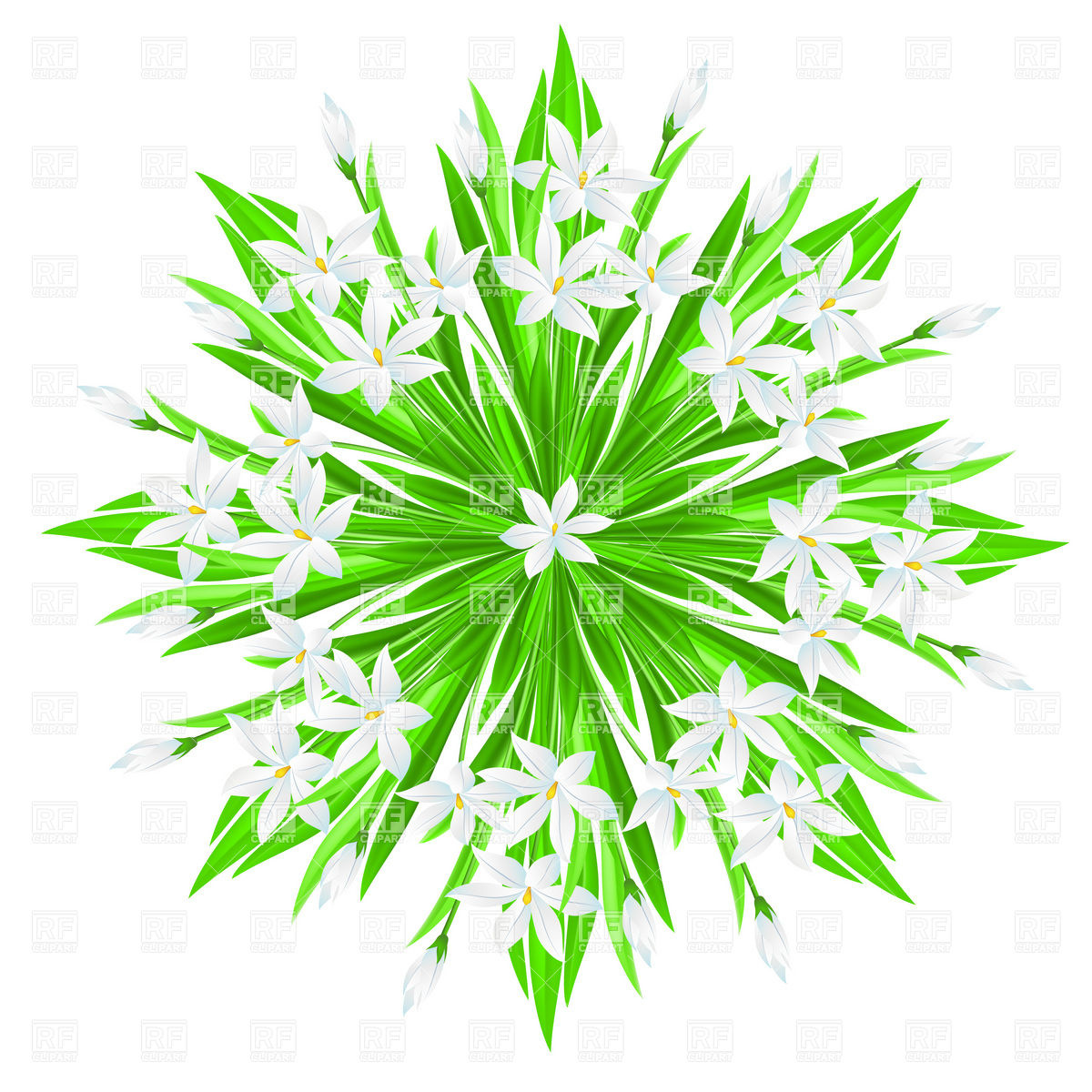 Flowers Star Bouquet Download Royalty Free Vector Clipart  Eps
