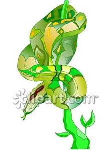 Green Boa Constrictor   Royalty Free Clipart Picture