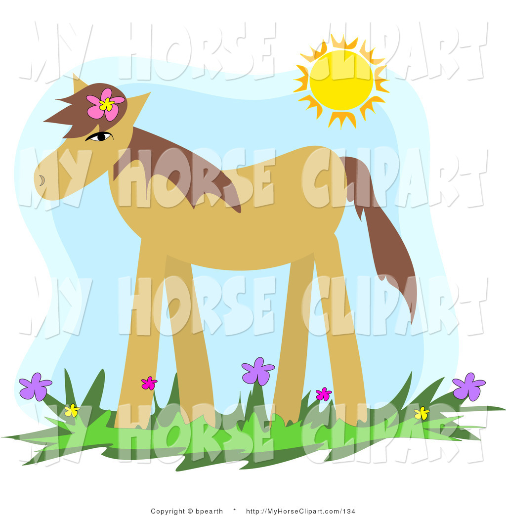     Its Mane Standing In A Spring Flower Field Under The Sunshine By