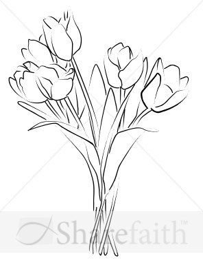 Tulip Bouquet Sketch   Church Bouquet Clipart