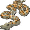 Boa Constrictor Clipart Clip Art Illustrations Images Graphics And