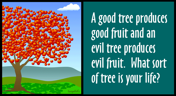 Does Your Life Bear Good Fruit   Free Christian Clip Art Graphic