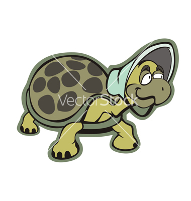 Related Pictures Lazy Turtle Cartoon