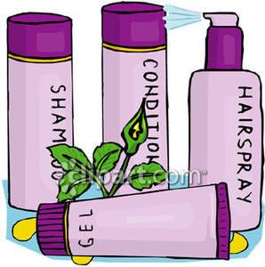 Salon Hair Products On Hair Care Products Royalty Free Clipart Picture