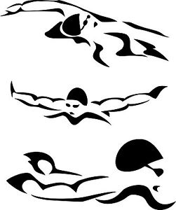 Swimmers Strokes Butterfly Wall Art Sticker Present Gift Swimming