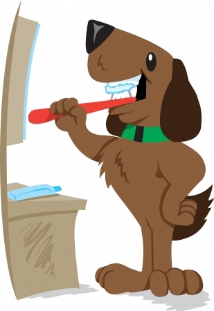 Abbeyrose Foundation   September 2013 Tip   Brush Your Dog S Teeth