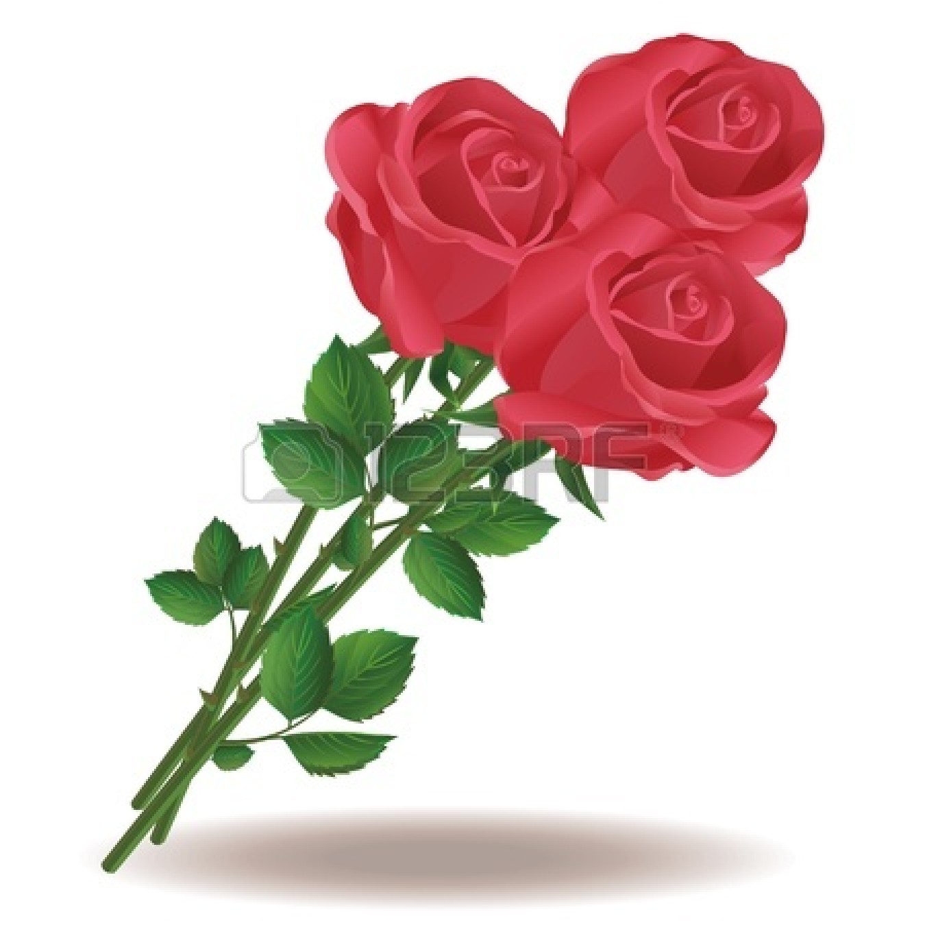 Bouquet Of Roses Clipart   Clipart Panda   Free Clipart Images